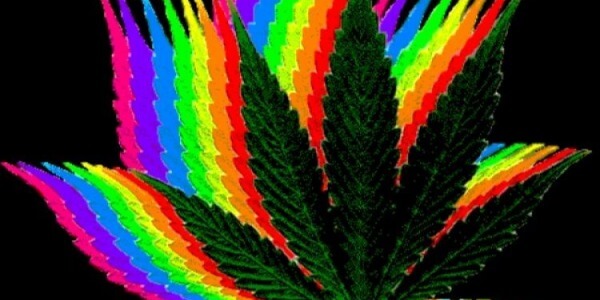 Fertilizantes y aditivos para las plantas de marihuana