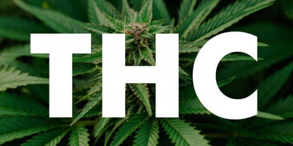 Qué es el THC
