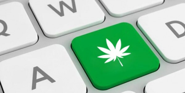 Venta de semillas de marihuana online